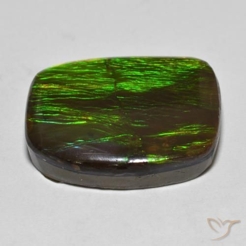 Ammolite Multicolore naturelle Fantaisie, 18.23 ct, Opaque