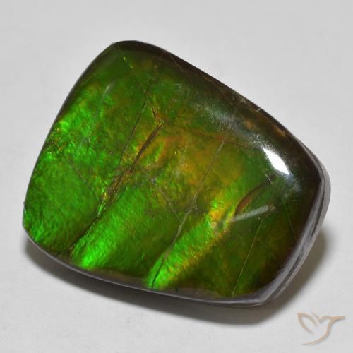 Ammolite Multicolore naturelle Fantaisie, 15.03 ct, Opaque