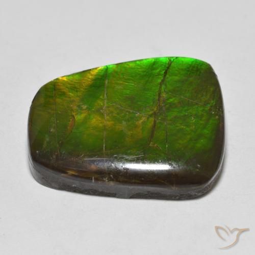 Ammolite Multicolore naturelle Fantaisie, 15.03 ct, Opaque
