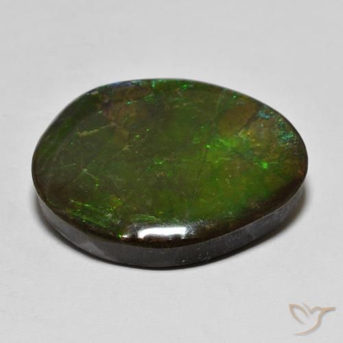 Ammolite Multicolore naturelle Fantaisie, 16.14 ct, Opaque