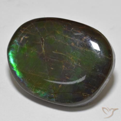 Ammolite Multicolore naturelle Fantaisie, 19.98 ct, Opaque
