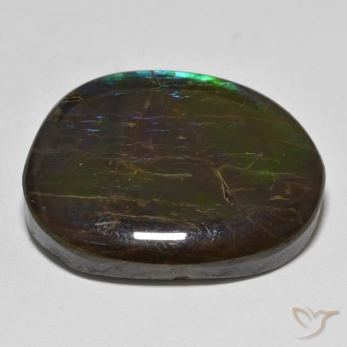 Ammolite Multicolore naturelle Fantaisie, 19.98 ct, Opaque