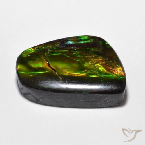 Ammolite Multicolore naturelle Fantaisie, 16.94 ct, Opaque