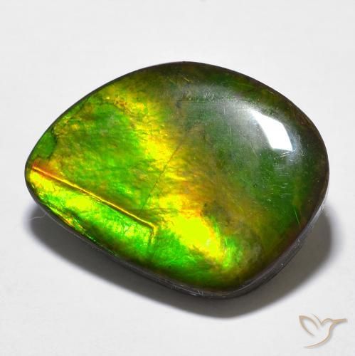11.97ct Naturel Multicolore Ammolite, Fantaisie, Opaque