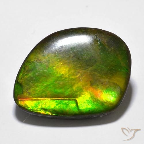 Ammolite Multicolore naturelle Fantaisie, 11.97 ct, Opaque