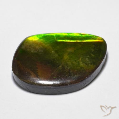 Ammolite Multicolore naturelle Fantaisie, 11.97 ct, Opaque