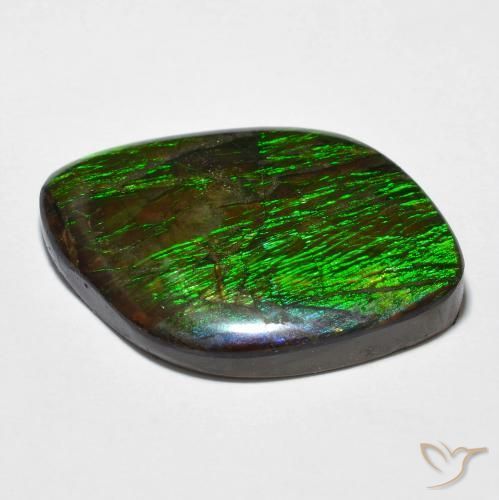 Ammolite Multicolore naturelle Fantaisie, 14.32 ct, Opaque