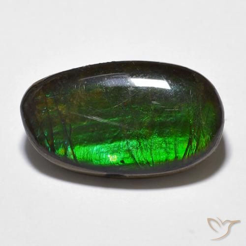 Ammolite Multicolore naturelle Fantaisie, 11.20 ct, Opaque