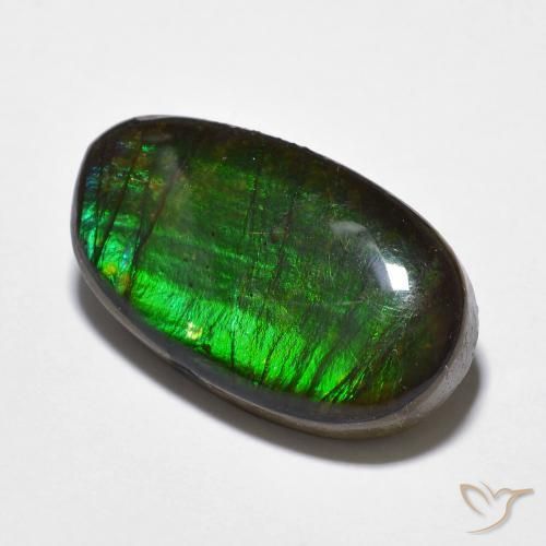 Ammolite Multicolore naturelle Fantaisie, 11.20 ct, Opaque