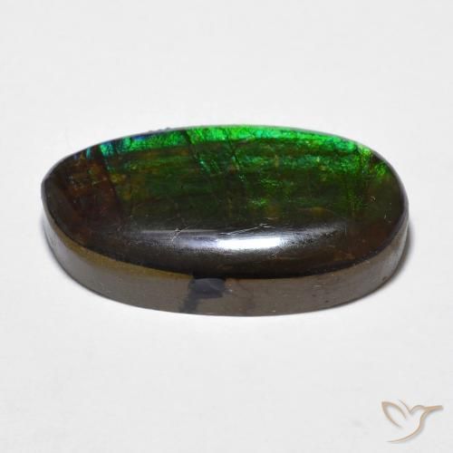 Ammolite Multicolore naturelle Fantaisie, 11.20 ct, Opaque