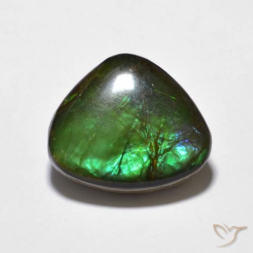 10.69ct Naturel Multicolore Ammolite, Fantaisie, Opaque