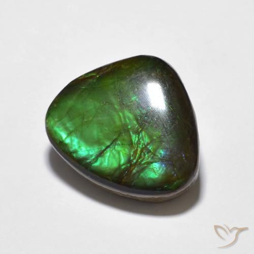 Ammolite Multicolore naturelle Fantaisie, 10.69 ct, Opaque