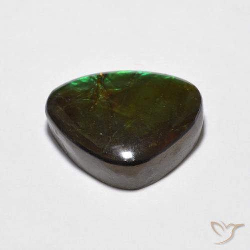 Ammolite Multicolore naturelle Fantaisie, 10.69 ct, Opaque