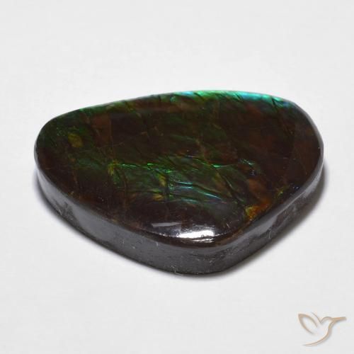 Ammolite Multicolore naturelle Fantaisie, 14.68 ct, Opaque