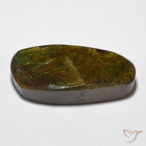 Ammolite Multicolore naturelle Fantaisie, 14.29 ct, Opaque