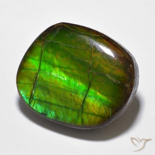 Ammolite Multicolore naturelle Fantaisie, 15.59 ct, Opaque