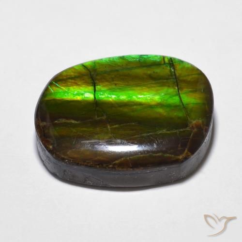 Ammolite Multicolore naturelle Fantaisie, 15.59 ct, Opaque