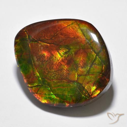 Ammolite Multicolore naturelle Fantaisie, 23.51 ct, Opaque