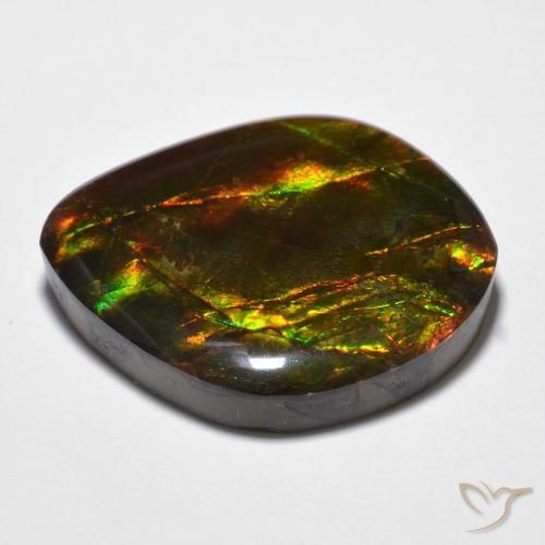 Ammolite Multicolore naturelle Fantaisie, 23.51 ct, Opaque