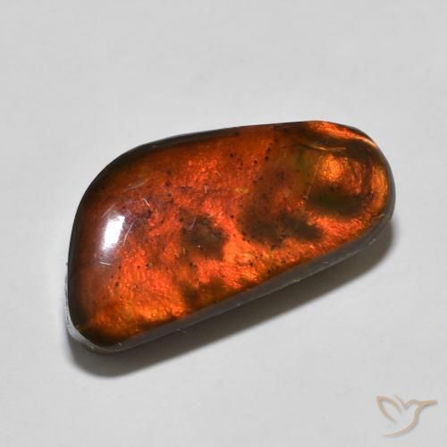 Ammolite Multicolore naturelle Fantaisie, 10.53 ct, Opaque