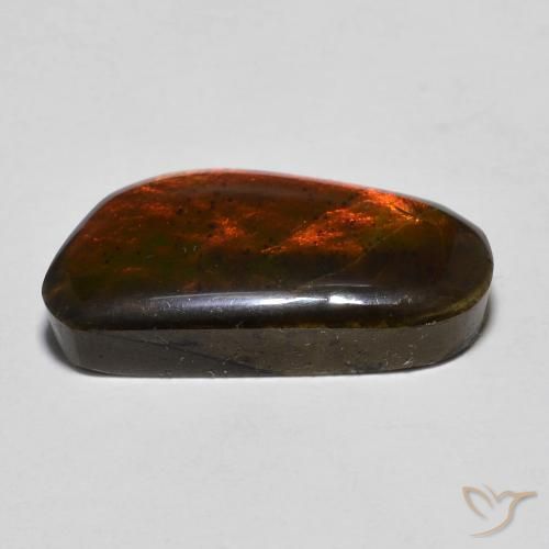 Ammolite Multicolore naturelle Fantaisie, 10.53 ct, Opaque