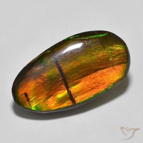 Ammolite Multicolore naturelle Fantaisie, 11.32 ct, Opaque
