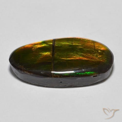 Ammolite Multicolore naturelle Fantaisie, 11.32 ct, Opaque