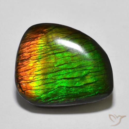 Ammolite Multicolore naturelle Fantaisie, 12.97 ct, Opaque