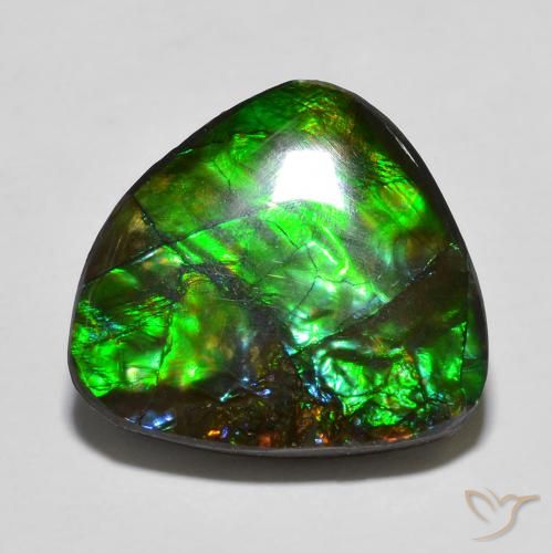Ammolite Multicolore naturelle Fantaisie, 13.78 ct, Opaque