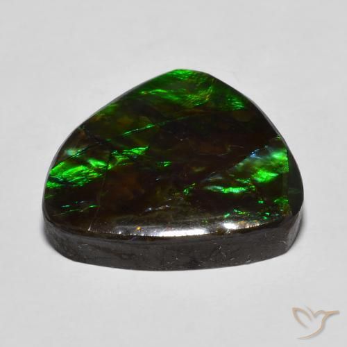 Ammolite Multicolore naturelle Fantaisie, 13.78 ct, Opaque