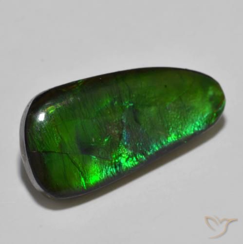 Ammolite Multicolore naturelle Fantaisie, 11.49 ct, Opaque