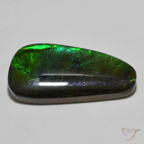 Ammolite Multicolore naturelle Fantaisie, 11.49 ct, Opaque