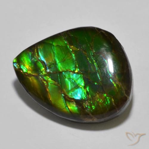 Ammolite Multicolore naturelle Fantaisie, 12.91 ct, Opaque