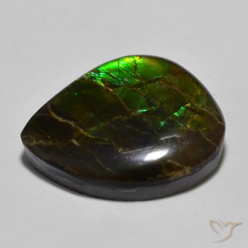 Ammolite Multicolore naturelle Fantaisie, 12.91 ct, Opaque