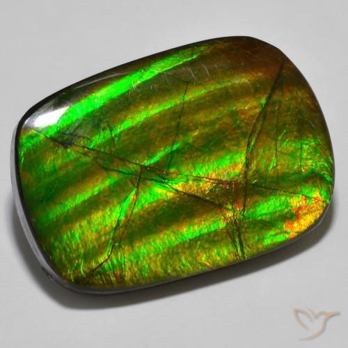 Ammolite Multicolore naturelle Fantaisie, 19.01 ct, Opaque