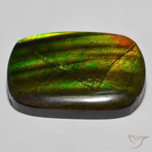 Ammolite Multicolore naturelle Fantaisie, 19.01 ct, Opaque
