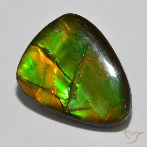 Ammolite Multicolore naturelle En forme de poire, 16.39 ct, Opaque