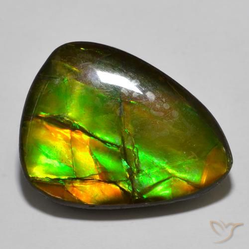Ammolite Multicolore naturelle En forme de poire, 16.39 ct, Opaque
