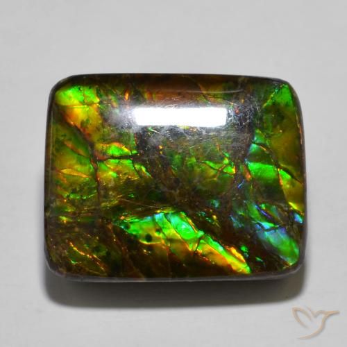 Ammolite Multicolore naturelle Coussin, 16.01 ct, Opaque