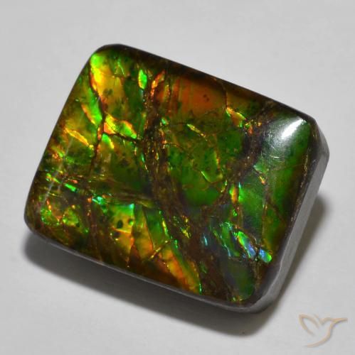 Ammolite Multicolore naturelle Coussin, 16.01 ct, Opaque