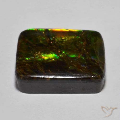 Ammolite Multicolore naturelle Coussin, 16.01 ct, Opaque