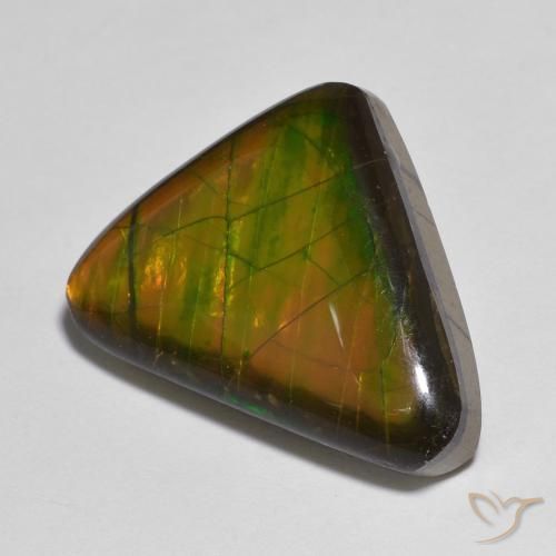 Ammolite Multicolore naturelle Fantaisie, 13.83 ct, Opaque