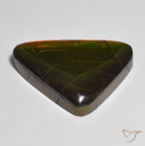Ammolite Multicolore naturelle Fantaisie, 13.83 ct, Opaque