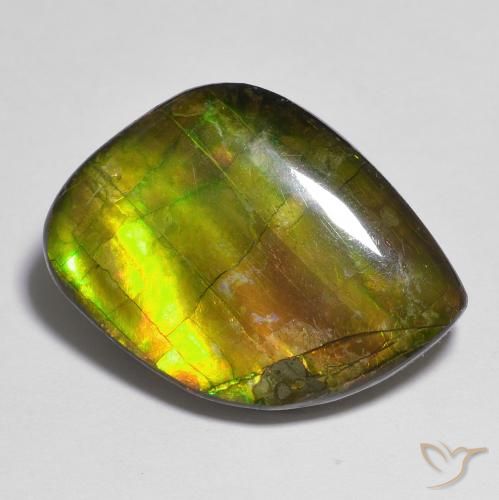 Ammolite Multicolore naturelle Fantaisie, 15.05 ct, Opaque
