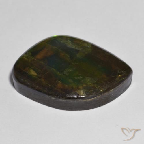 Ammolite Multicolore naturelle Fantaisie, 15.05 ct, Opaque