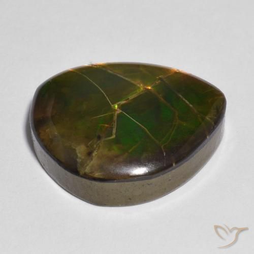 Ammolite Multicolore naturelle Fantaisie, 10.33 ct, Opaque