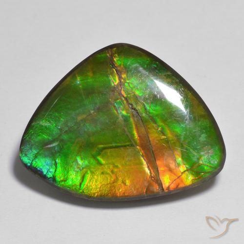 17.37ct Naturel Multicolore Ammolite, Fantaisie, Opaque