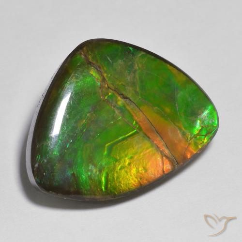 Ammolite Multicolore naturelle Fantaisie, 17.37 ct, Opaque