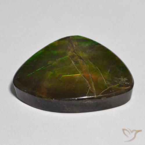 Ammolite Multicolore naturelle Fantaisie, 17.37 ct, Opaque