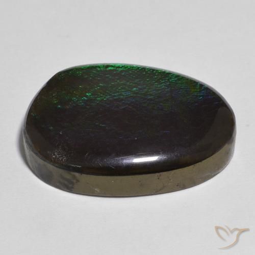 Ammolite Multicolore naturelle Fantaisie, 13.91 ct, Opaque